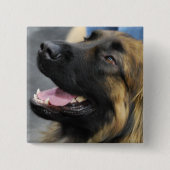 Leonberger Button (Voorkant)