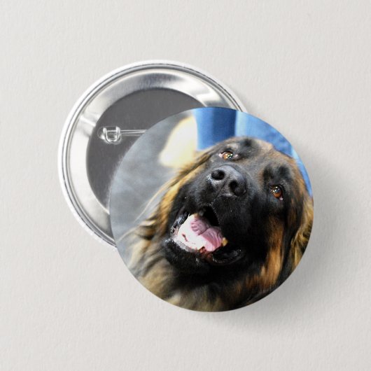 Leonberger Buttonnen Ronde Button 5,7 Cm (Voorkant /achterkant)