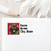 Leonberger Color Block Etiket (Insitu)