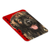 Leonberger Color Block Magneet (Rechterzijde)