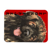 Leonberger Color Block Magneet (Horizontaal)