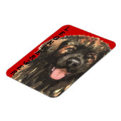 Leonberger Color Block Magneet (Linkerzijde)