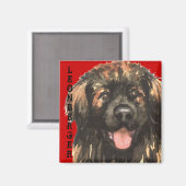 Leonberger Color Block Magneet (Voorkant / Achterkant)
