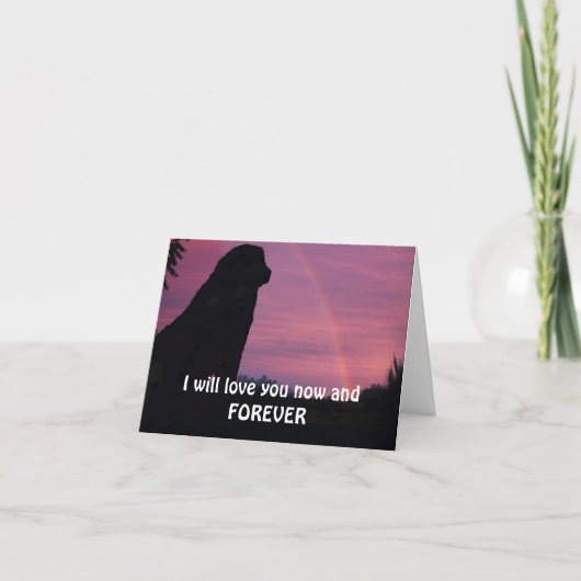 Leonberger die bij de Brug van de Regenboog Kaart (Voorkant)