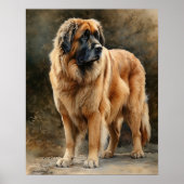 Leonberger Dog Art Print Poster (Voorkant)