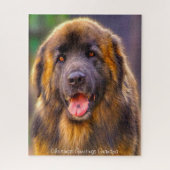 Leonberger Dog. Legpuzzel (Verticaal)