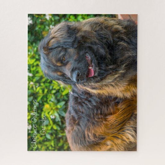 Leonberger Dog. Legpuzzel (Verticaal)