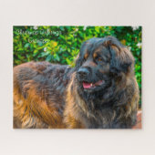 Leonberger Dog. Legpuzzel (Horizontaal)