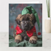 Leonberger Elf Puppy Kerst Kaart (Voorkant)