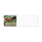 Leonberger-full Etiket (Voorkant)