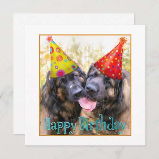 Leonberger Happy Birthday Bedankkaart (Voorkant / Achterkant)