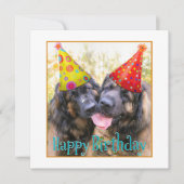 Leonberger Happy Birthday Bedankkaart (Voorkant)