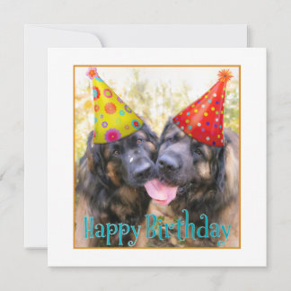 Leonberger Happy Birthday Bedankkaart