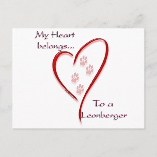 Leonberger hart hoort erbij briefkaart (Voorkant)