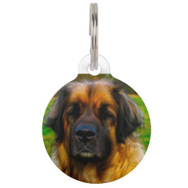 Leonberger hond. huisdierpenning