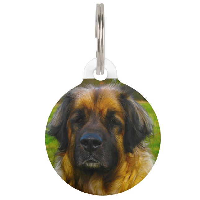 Leonberger hond. huisdierpenning (Voorkant)