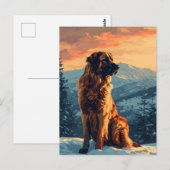 Leonberger hond in het besneeuwde bos tijdens zons briefkaart (Voorkant / Achterkant)
