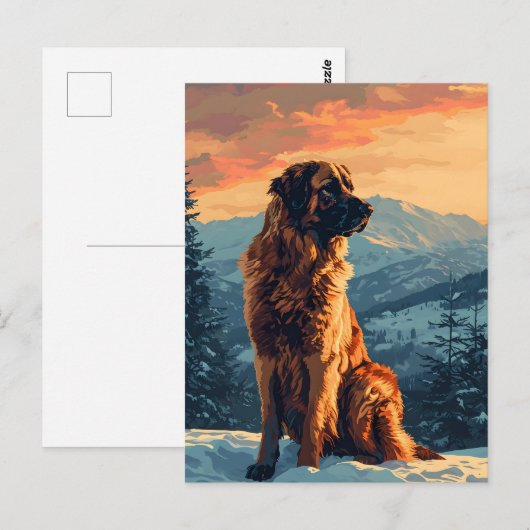Leonberger hond in het besneeuwde bos tijdens zons briefkaart (Voorkant / Achterkant)