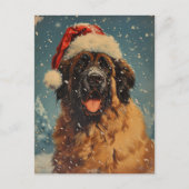 Leonberger hond kerst briefkaart (Voorkant)