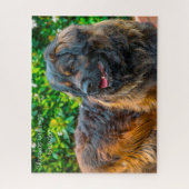 Leonberger hond. legpuzzel (Verticaal)