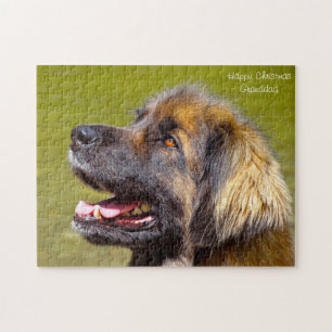 Leonberger hond. legpuzzel