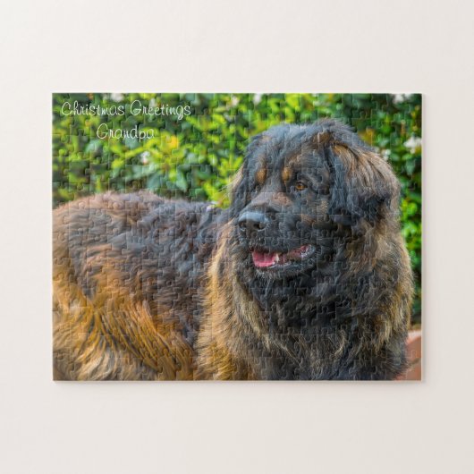 Leonberger hond. legpuzzel (Horizontaal)