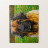Leonberger Hond Puzzel. Legpuzzel (Verticaal)