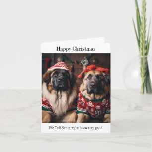 Leonberger Honden in Kersttruien Kaart