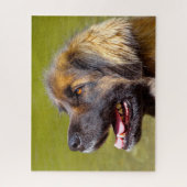 Leonberger Hondenras Jigzaag. Legpuzzel (Verticaal)