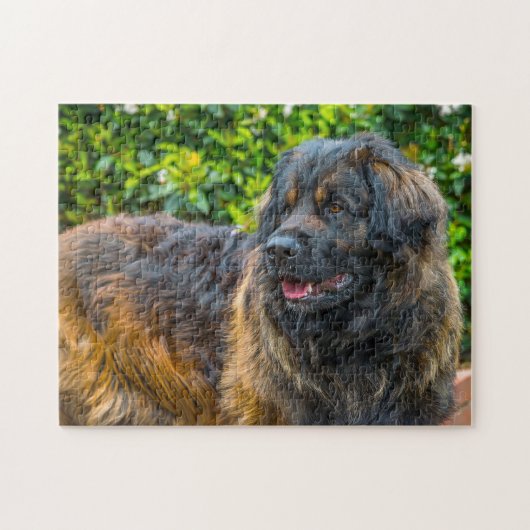 Leonberger Hondenras Jigzaag. Legpuzzel (Horizontaal)