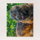 Leonberger Hondenras Jigzaag. Legpuzzel (Verticaal)
