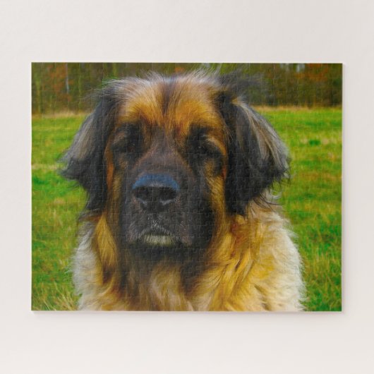 Leonberger Hondensoort Puzzel. Legpuzzel (Horizontaal)