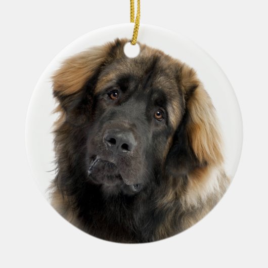 Leonberger Keramisch Ornament (Voorkant)