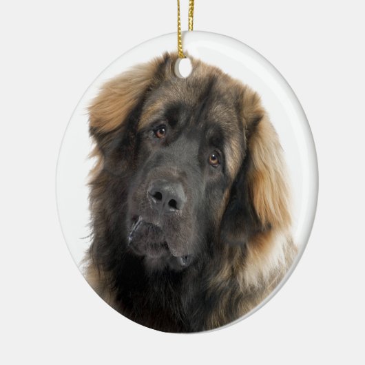Leonberger Keramisch Ornament (Links)
