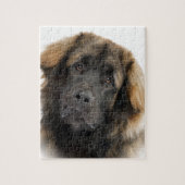 Leonberger Legpuzzel (Verticaal)