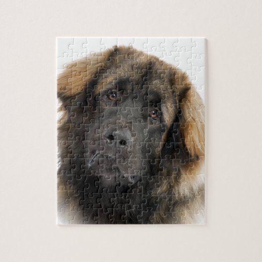 Leonberger Legpuzzel (Verticaal)