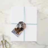 Leonberger liet het sneeuwen Kerstmis Cadeaulabel (Met Touw)