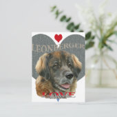 Leonberger Love Gift Ideeën Briefkaart (Staand voorkant)