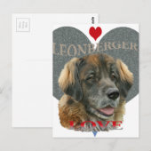 Leonberger Love Gift Ideeën Briefkaart (Voorkant / Achterkant)