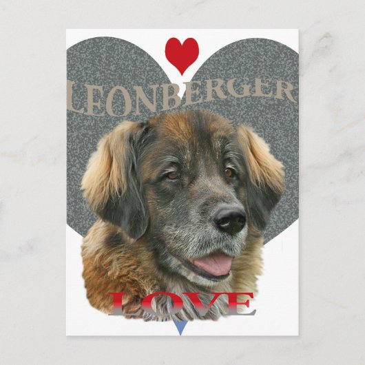 Leonberger Love Gift Ideeën Briefkaart (Voorkant)