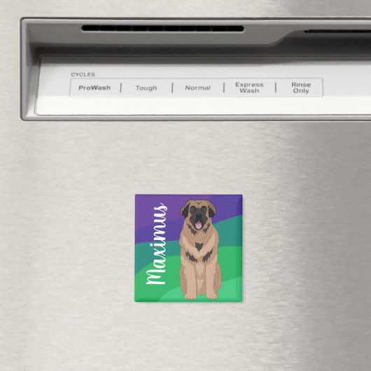  Leonberger Magneet (Insitu (Vaatwasser))