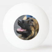 Leonberger Pingpongbal (Achterkant)