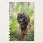 Leonberger Planner (Voorkant)