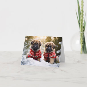 Leonberger Puppies Kerstmis Kaart
