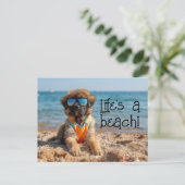 Leonberger Puppy dragen zonnebril briefkaart (Staand voorkant)