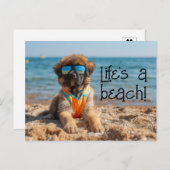 Leonberger Puppy dragen zonnebril briefkaart (Voorkant / Achterkant)