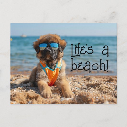 Leonberger Puppy dragen zonnebril briefkaart (Voorkant)