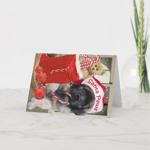 Leonberger Santa Paws-kaarten Feestdagen Kaart