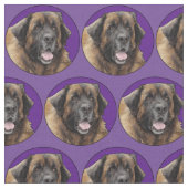 LEONBERGER STOF (Close Up)