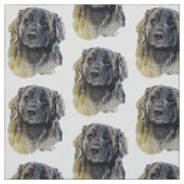 Leonberger Stof (Swatch)